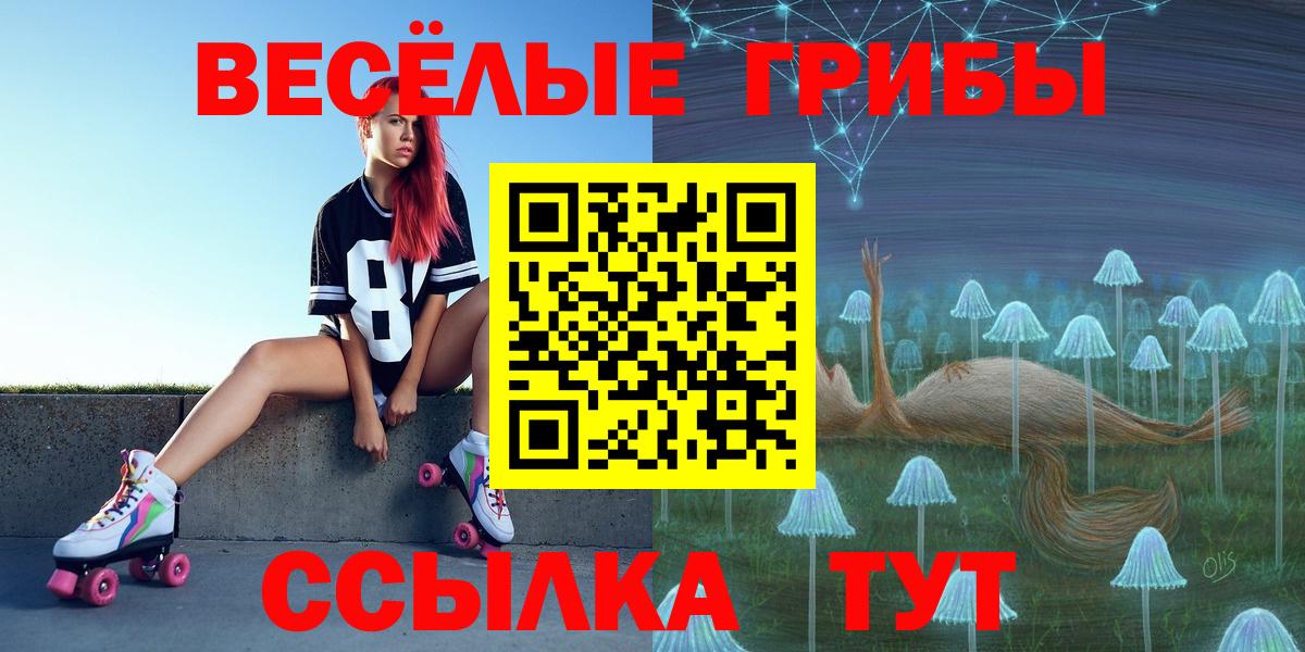 Галлюциногенные грибы Cubensis  Вход с VPN  Азнакаево 